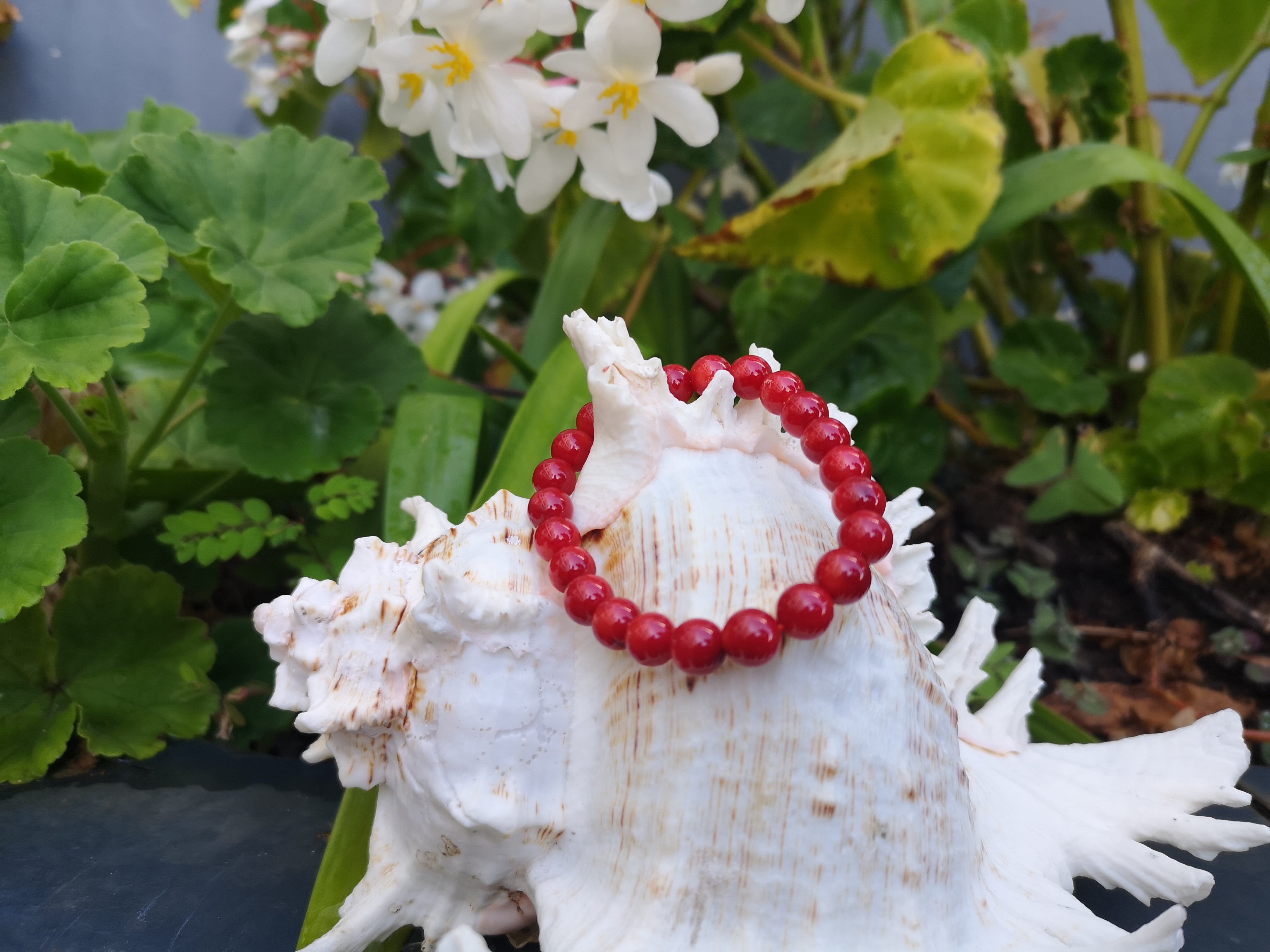 Bien choisir son bracelet