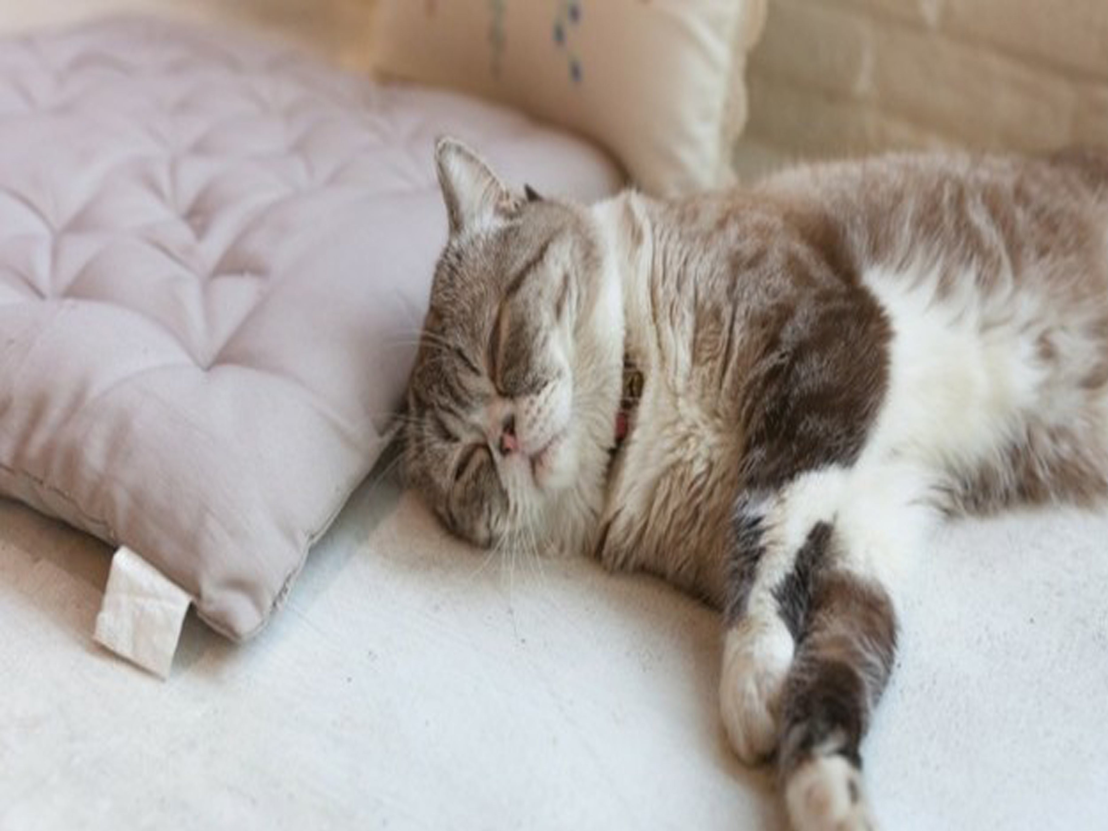 Mieux dormir grâce à la lithothérapie !