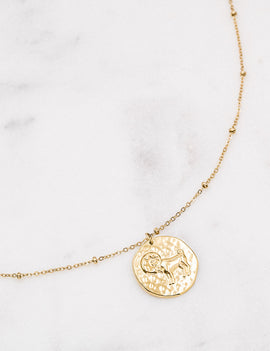Collier Bélier acier inoxydable